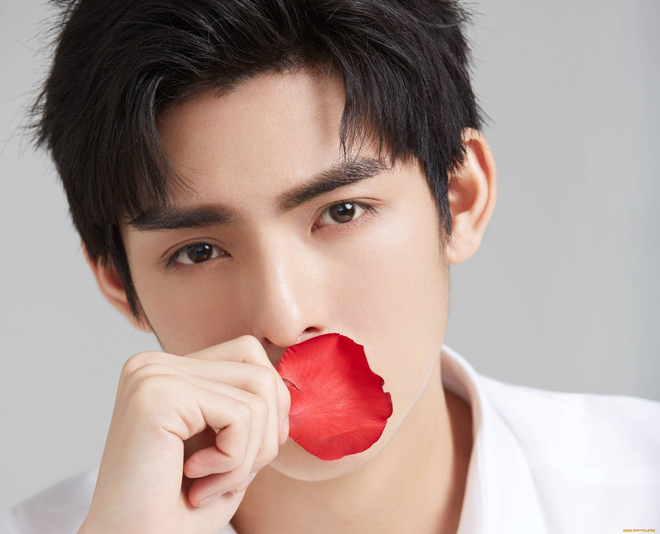 , wang hao xuan, , , wang, hao, xuan